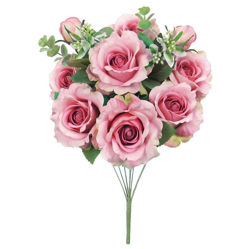 Rosier, Rose