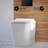Concorde Back-To-Wall Toilet Bundle 0.8/1.6 GPF Dual Flush In Glossy White With Flush Plate-108927938