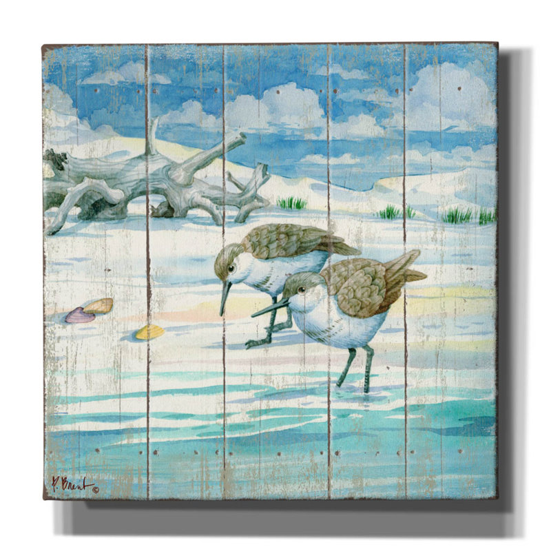 «Shoreline Sandpipers II» par Paul Brent, art mural sur toile, H 12 po x l 12 po x P 0,75 po