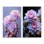 "Crochet délicat à motif de cactus rose" - 2 pièces-1100878468-1100878471