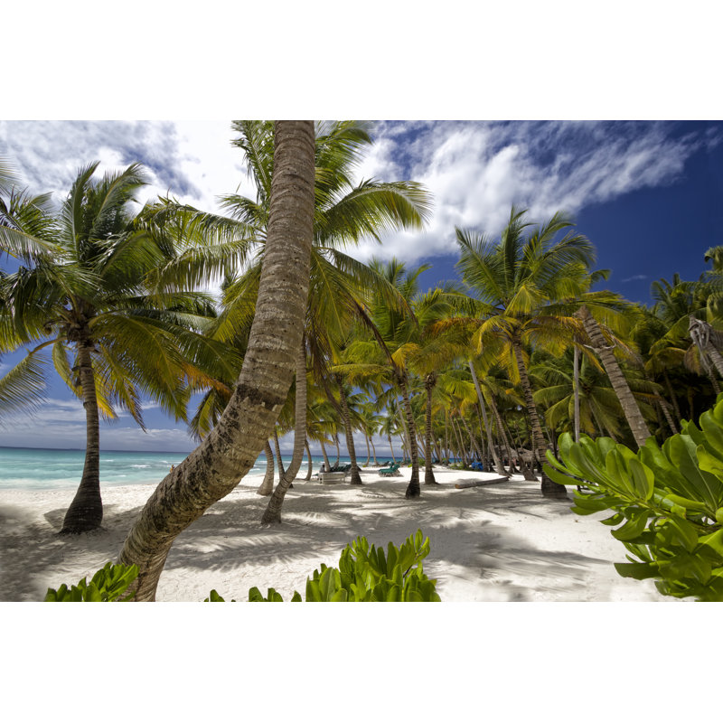 Belle plage des Caraïbes par Carpe89, H 20 po x l 30 po