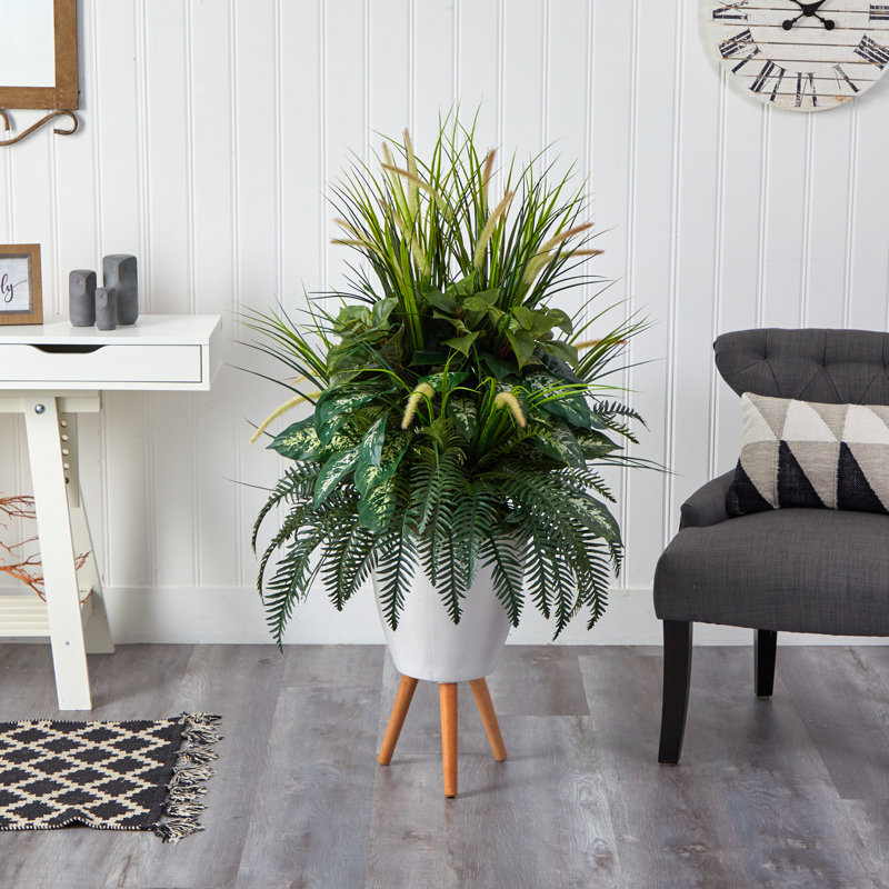 54 po plante verte en pot
