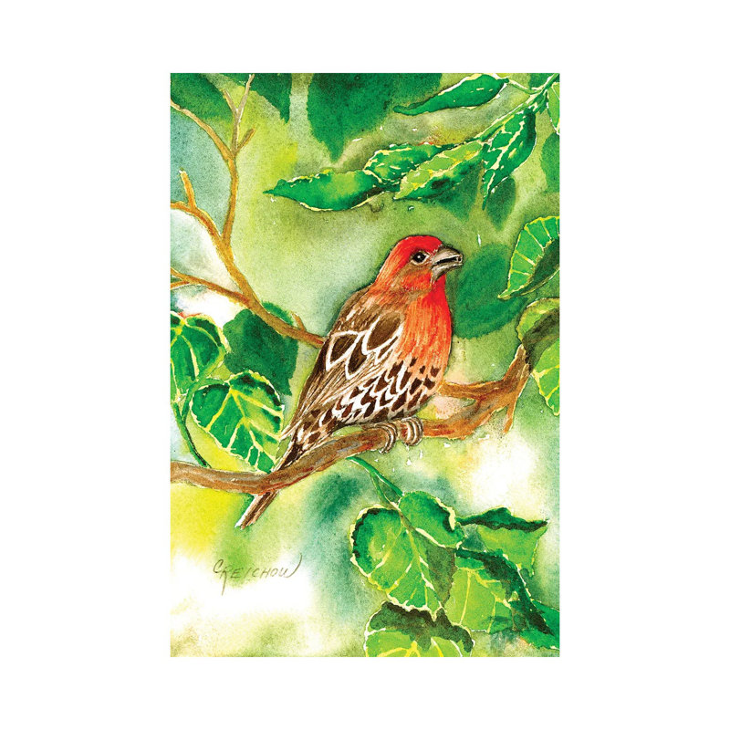 House Finch by Christine Reichow - Wrapped Canvas Gallery-Wrapped Canvas Giclée, 66.04 cm H x 45.72 cm W x 3.175 cm D