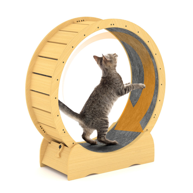 Roue d'exercice moderne en bois pour chat, 46 po