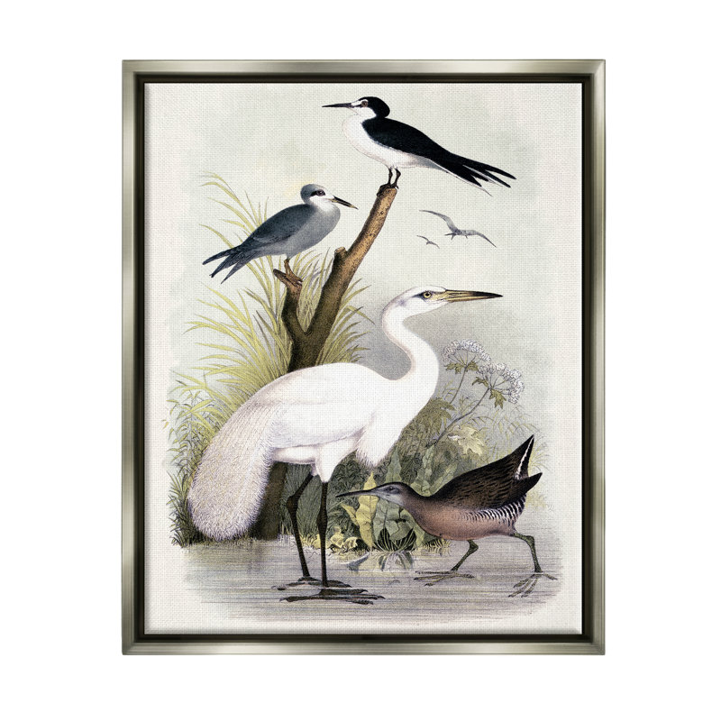 Oiseaux de grue variés rassemblés au bord de la rivière par Piddi - Peinture, H 31 po x l 25 po x P 1,5 po