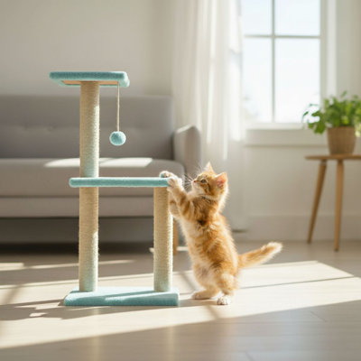 Grattoir pour chat