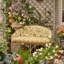 Thorny Vine-1163393737