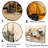 Camping Tent Outdoor Adventure III - Camping Travel Wall Decor-2000584176-2000584175