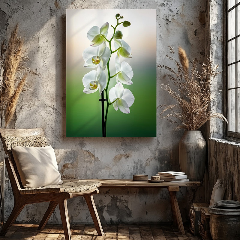 Toile, composition en gros plan d'orchidées blanches délicates présentant leur art mural, pétales veloutés doux et détails complexes