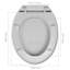 Rohando Soft-Close Elongated Standard Toilet Seat-904499339