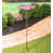 Mauve est en rupture de stock