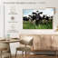 Vaches Holstein-712627471-712627470