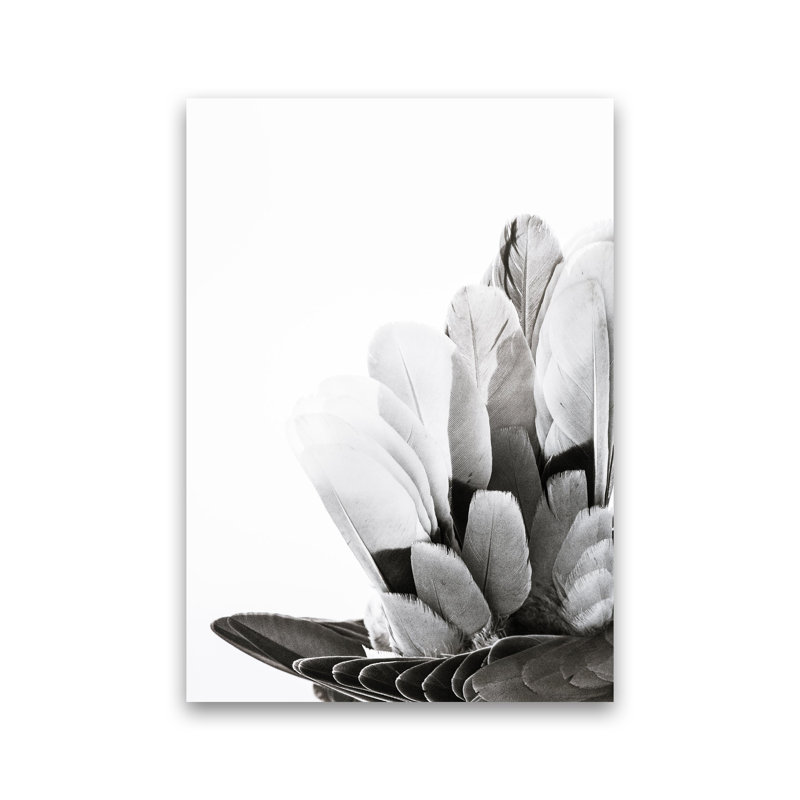 Feathers by Victoria Frost - Print, Unframed, 84cm H x 60cm W x 1cm D