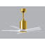Patricia LED Downrod Ceiling Fan-439919628-486079860