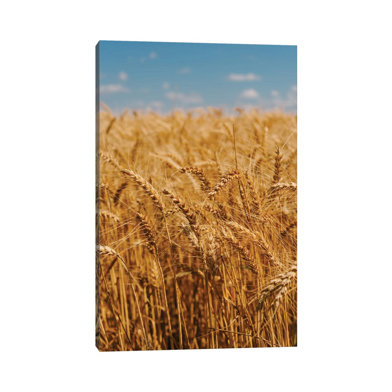 Summer Wheat Fields 1 Piece Wall Art on Canvas, 101.6cm H x 66.04cm W x 3.81cm D, Wrapped Canvas