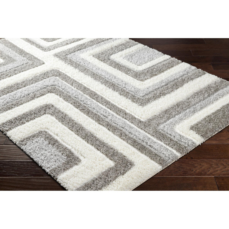 Tapis à poils longs Khlani Paolo, Rectangle 5 pi 3 po x 7 pi