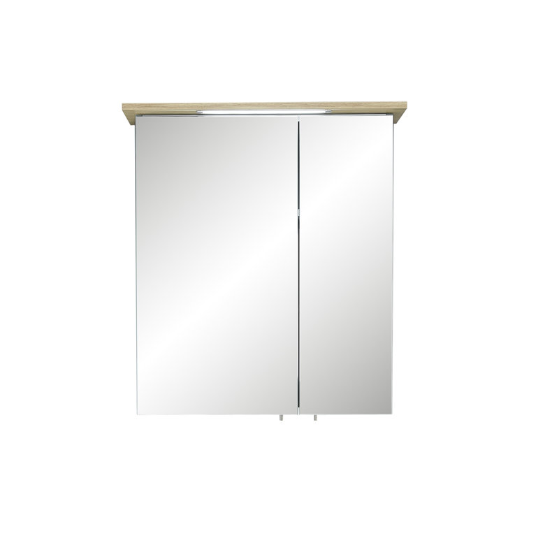 600mm W 720mm H Surface Framed Medicine Cabinet Mirror 2 Adjustable