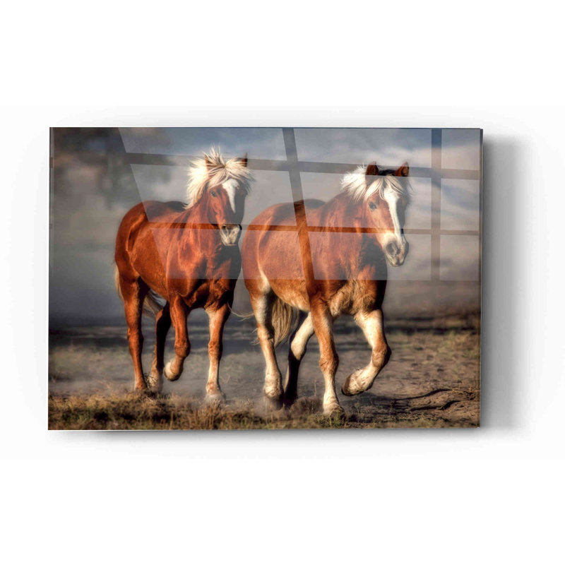«Trotter», art mural en verre acrylique, H 16 po x l 24 po x P 0,12 po