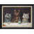 Black Premium Frame n'est pas disponible