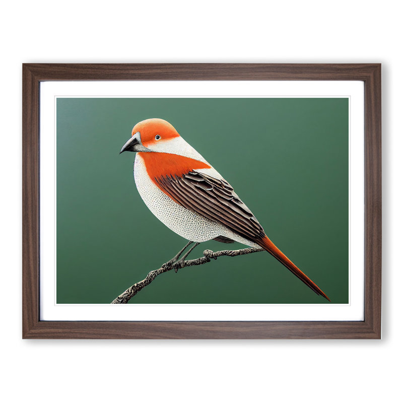 Engaging Bird - Single Picture Frame Print, 25cm H x 34cm W x 2cm D, Walnut Framed