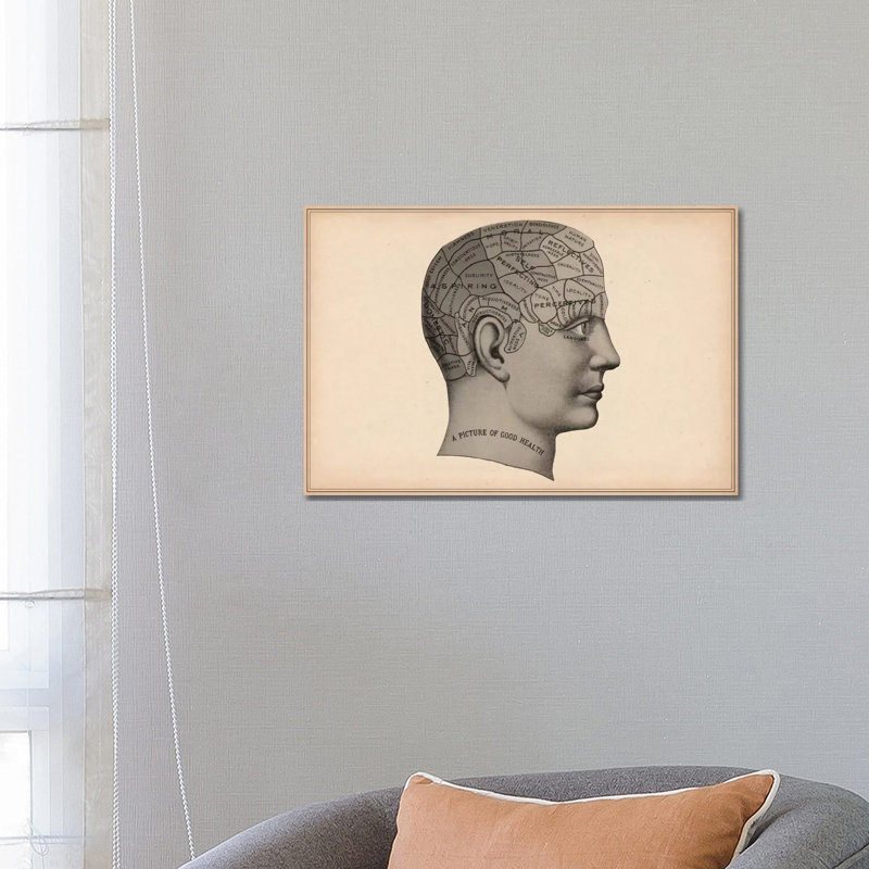 Phrenology Human Head - Wrapped Canvas Print, 66.04 cm H x 45.72 cm W x 3.175 cm D