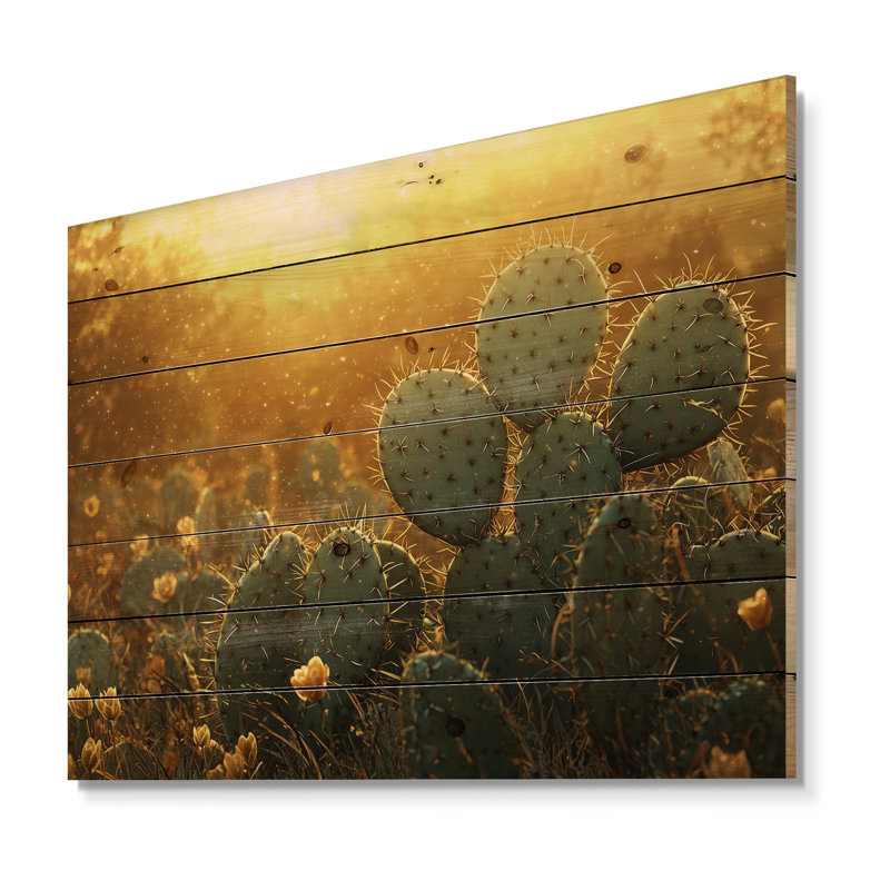Cactus dans la lumière dorée I - Art mural en bois floral cactus - sur bois de pin naturel, H 24 po x l 32 po x P 0,78 po