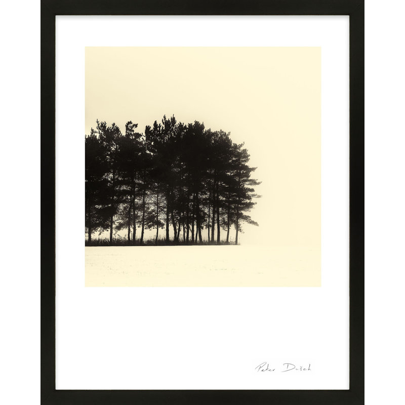 Copse Print by Peter Dušek, 38" H x 30" W x 1.25" D, Black