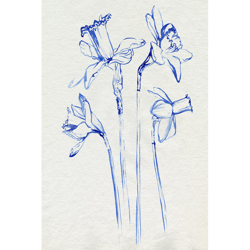 Inky Daffodils II by Jennifer Paxton Parker - Wrapped Canvas Drawing, 76 cm H x 51 cm W, Wrapped Canvas