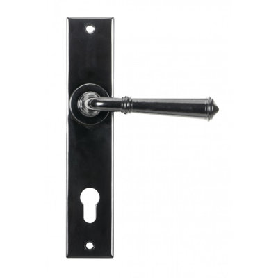Regency Lock Door Handle Kit