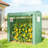 Stable Greenhouse,Mini Greenhouse