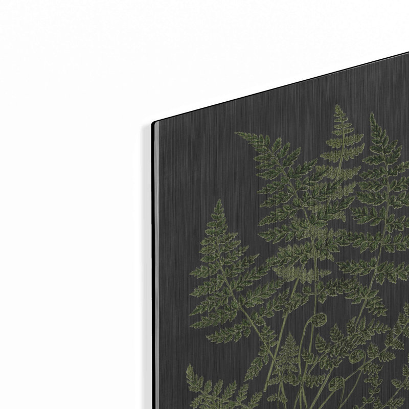 «Fern Study» par Lettered & Lined, H 16 po x l 12 po
