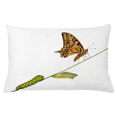 Swallowtail Outdoor Rectangular Pillow Cover
