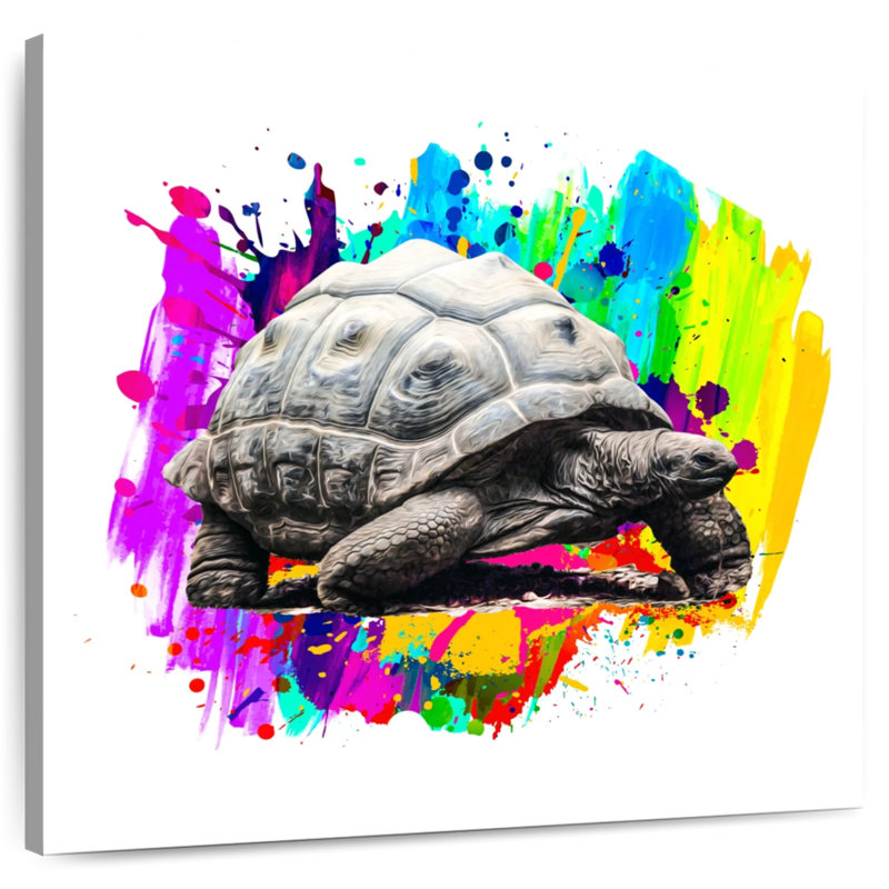Crowle Splash Tortoise, 24" H x 24" W