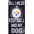 Steelers de Pittsburgh