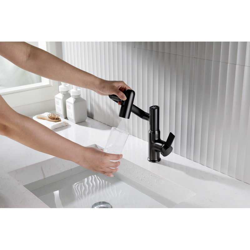 Matte Black Rotatable Bathroom Faucet with Temperature Display