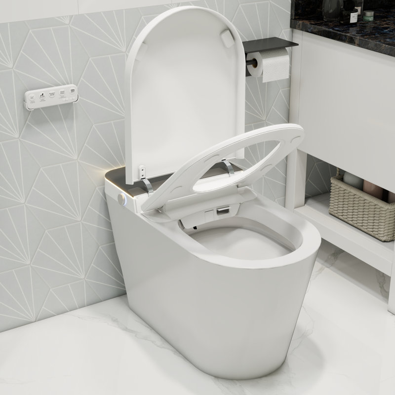 Smart Bidet Toilet with Heated Seat & Built-in Tank, 1.08 GPF Auto Flush Bidet Toilet with Adjustable Warm Water, Dryer, Foam Shield, 3 Standard Option