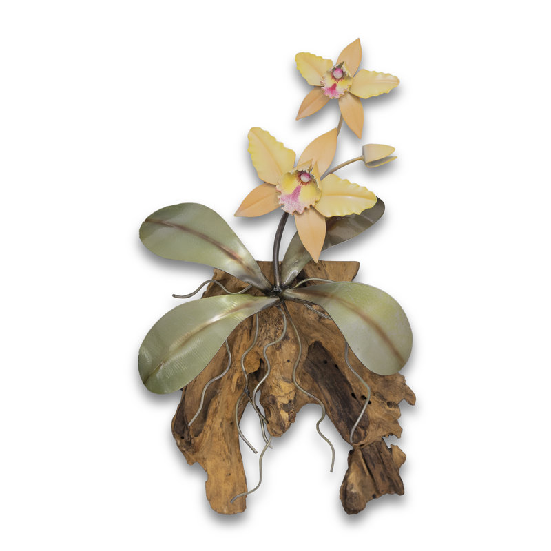 Orchidée murale Cattelya