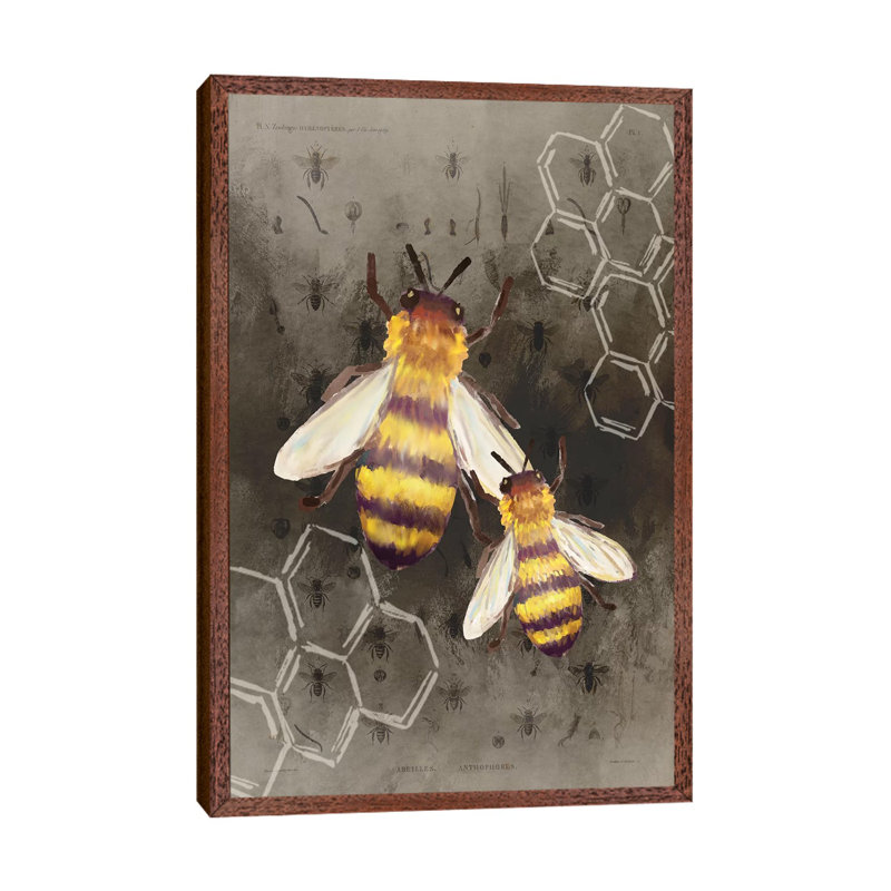 Bee Charmer II 1 Piece Wall Art on Canvas, 66.04cm H x 45.72cm W x 3.81cm D, Classic Brown Wood Framed