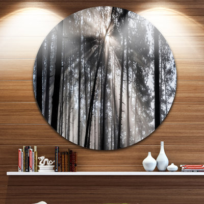 «Sunbeam Through Black White Forest», photographie