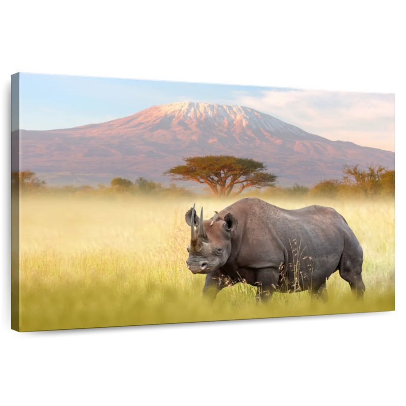 Rhinocéros Hosking Amboseli
