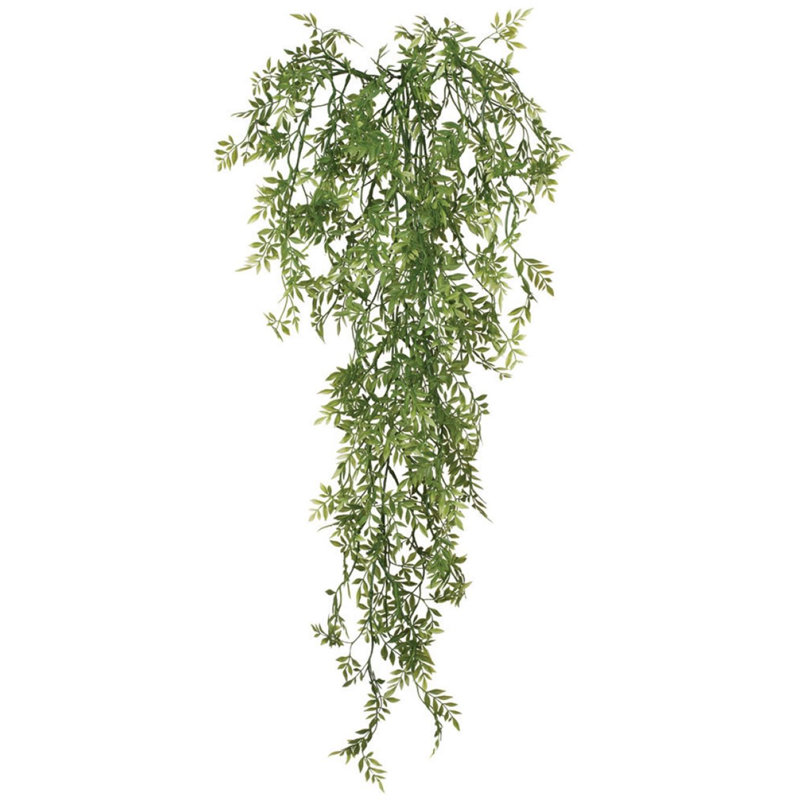 Vigne Wisteria Spary