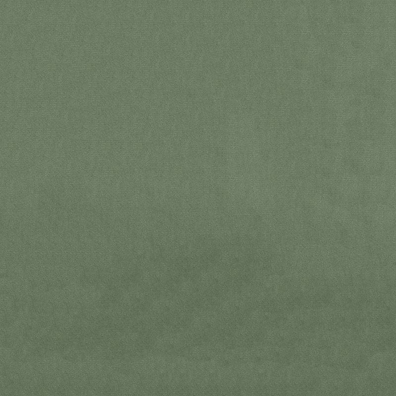 Tissu Benjamin, Sauge