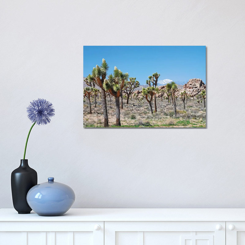 Joshua Tree Forest by Brian Wolf - Wrapped Canvas Print, 30.48cm H x 45.72cm W x 1.91cm D