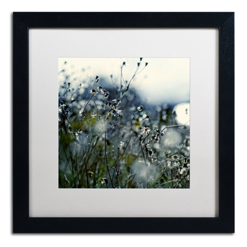 «In Silence» par Beata Czyzowska Young, reproduction de photo encadrée, H 16 po x l 16 po, Noir
