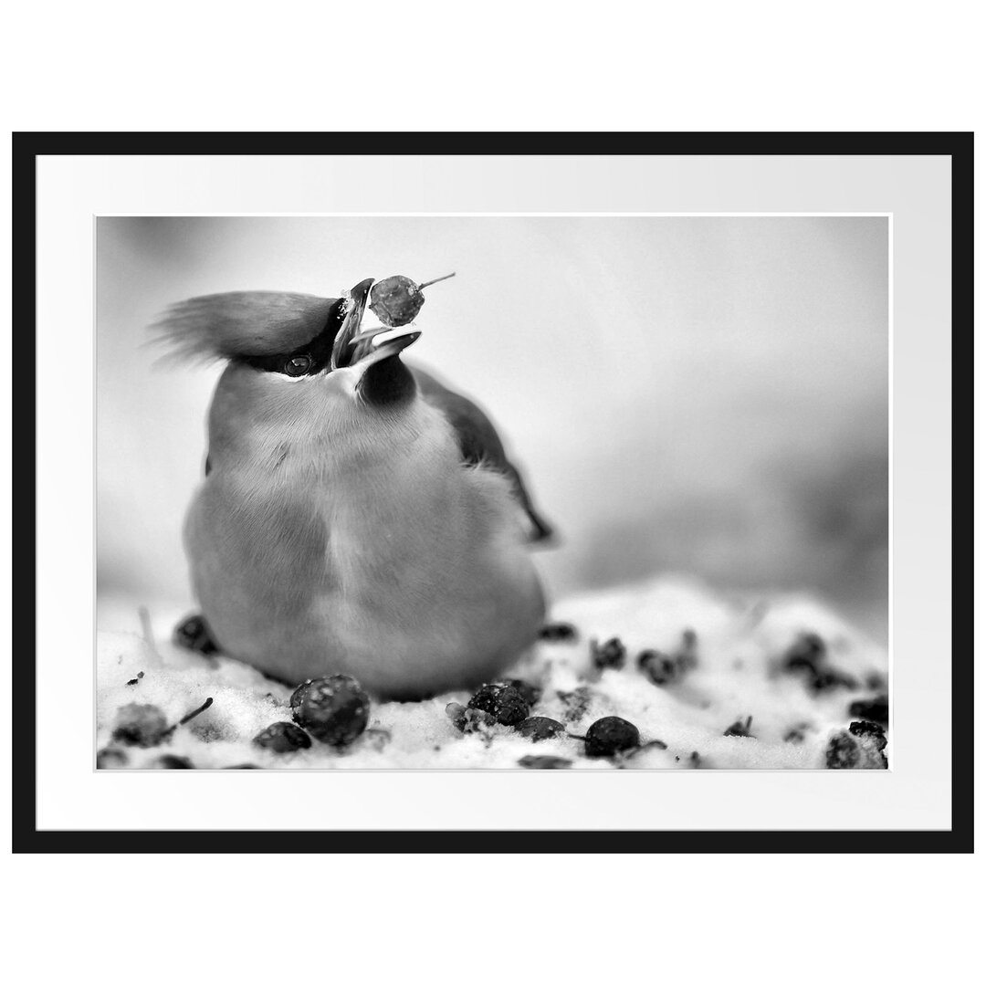 Gerahmtes Poster Kleiner Vogel im Schnee