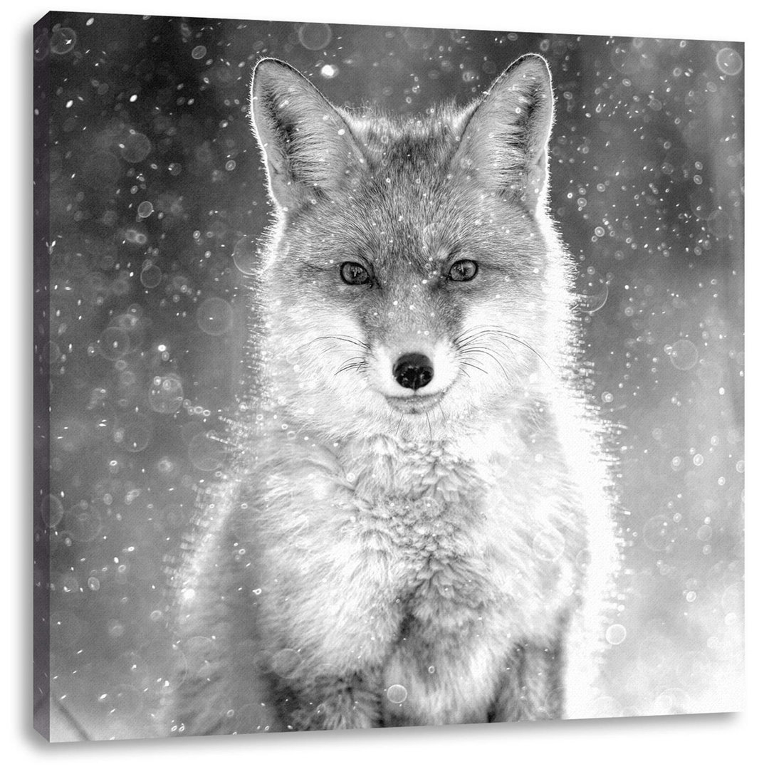 Fotodruck Red Fox in Winter