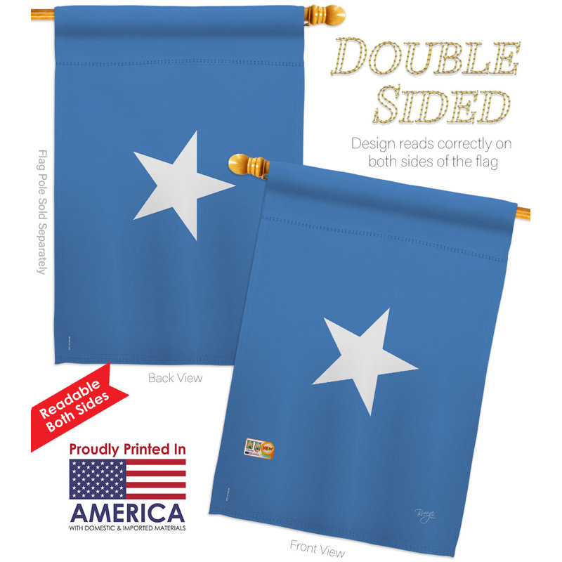 Double Sided 40'' H x 28'' W Polyester House Flag