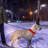 Dog Collar-98497196