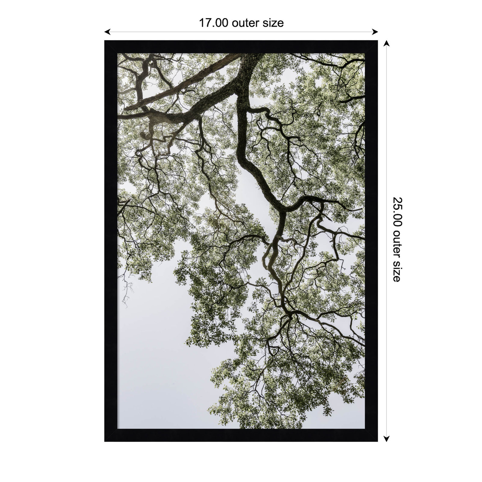 Pleasantville "Coastal Forest" Print, Black, 25" H x 17" W
