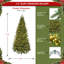 Sapin baumier mince canadien éclairé par Forevertree-32448484